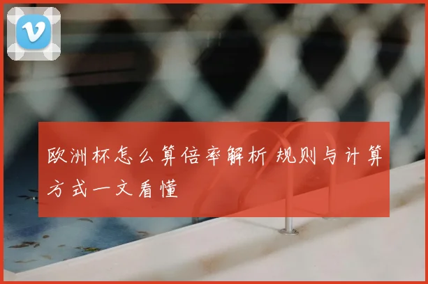 欧洲杯怎么算倍率解析 规则与计算方式一文看懂