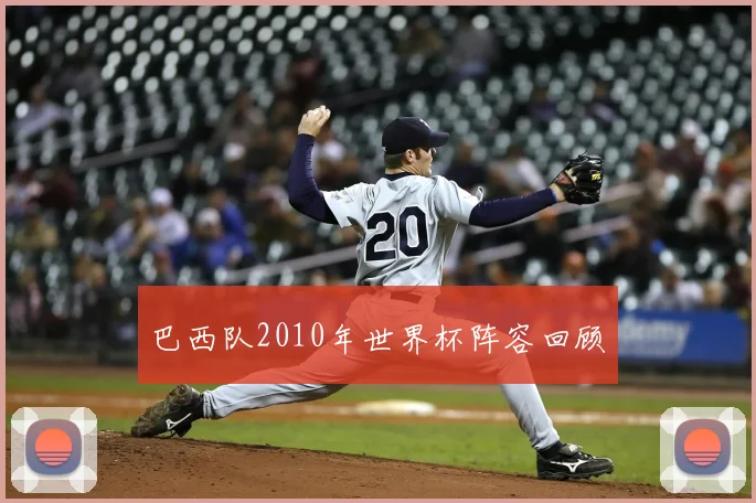 巴西队2010年世界杯阵容回顾